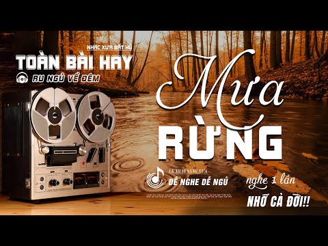 Đoạn Buồn Đêm Mưa, Mưa Rừng - LK Nhạc Vàng Hải Ngoại Xưa Hay Nhất - Công Tuấn Hát Cực Chất