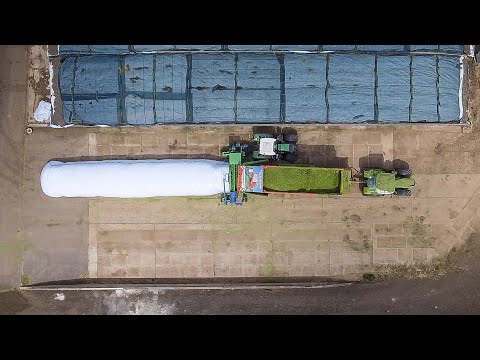 Ganzpflanzensilage in Siloschlauch pressen mit Lohnunternehmen Reiff und Agrarservice Jung