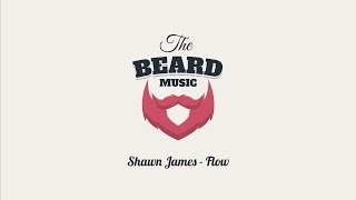 Shawn James - Flow