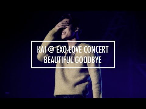 Kai Solo "Beautiful Goodbye" ♡ 151010 EXO-Love Concert in Dome
