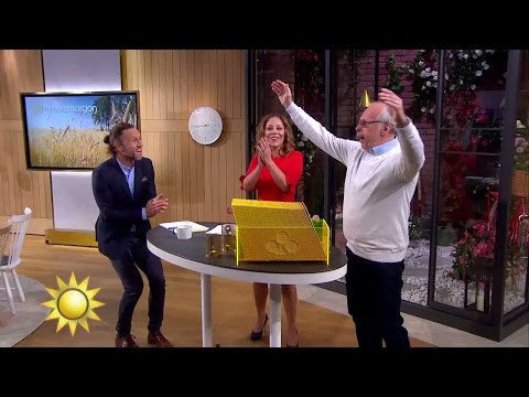 Reine vann en halv miljon - Nyhetsmorgon (TV4)