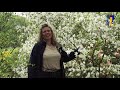 Natuur en Zo TV: rododendrons en azalea’s