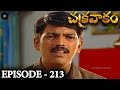 Episode 213 Chakravakam Telugu Daily Serial
