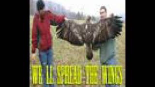 Epica - Beyond Belief, Alternative lyrics