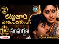 Kattu Jari Pothaundi Song Remix Sangarshana Movie Songs Chiranjeevi Songs Telugu Songs MVR