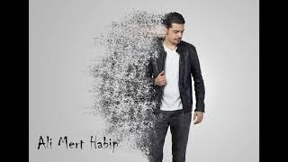 Arcane Roots - Off The Floor (Ali Mert Habip)