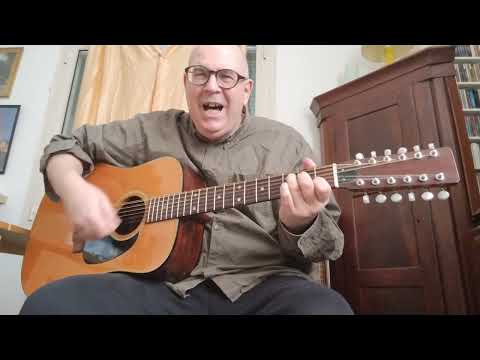 Professore - Mario Lavezzi con Paesold 12 corde