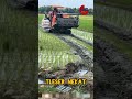 Tleser Nekat New Rice Smashed By Tleser Rice Thresher Kubota