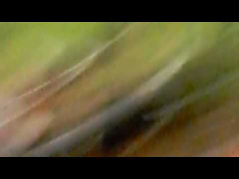 Penalti - Atlético paranaense X J. Malucelli - 04/02/09