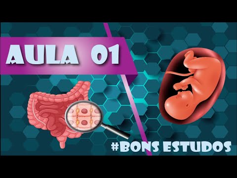 Class 1 Introduction to Embryology and Histology Part 1