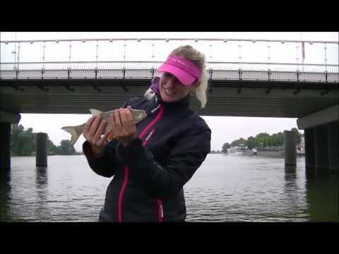 download lagu mp3 mp4 Tjeerd Van Der Ploeg, download lagu Tjeerd Van Der Ploeg gratis, unduh video klip Tjeerd Van Der Ploeg