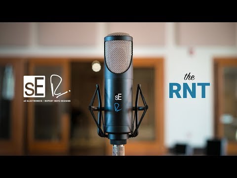 The sE / Rupert Neve RNT Tube Condenser Microphone