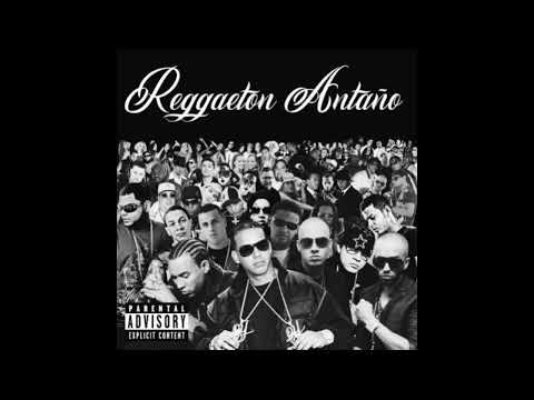 Andy Boy Abusadora - Reggaeton Superstars Vol 2