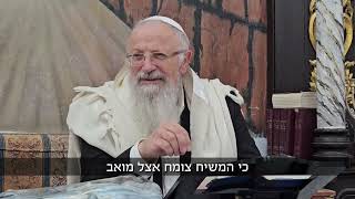 למה דווקא בפרשת בלק יש נבואות על המשיח? | הרב שמואל אליהו | הלכה יומית | י״ד תמוז תשפ״ה (הרב שמואל אליהו) - התמונה מוצגת ישירות מתוך אתר האינטרנט יוטיוב. זכויות היוצרים בתמונה שייכות ליוצרה. קישור קרדיט למקור התוכן נמצא בתוך דף הסרטון