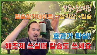 해조제는 칼슘제랑 같이 쓰시면 효과가 급상승합니다! 칼슘+붕소처럼 칼슘+해조제도 외우세요!  | 비료사관학교…