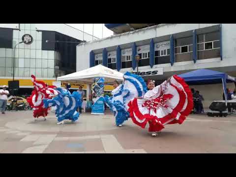 La Iguana - Venga Conza El Oro - Ballet Folklorico Machala Jr - 2017