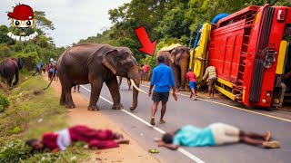 44 Most BRUTAL ANIMAL ATTACKS Caught on Camera