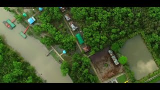 পর্যটন শিল্পে সুন্দরবন