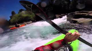 Taming the Lizard Brain