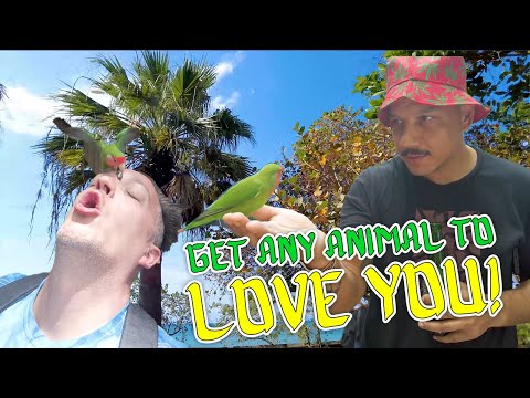 Exploring Jamaica: How To Connect With Nature Ft. Luis J Gomez & Ralph Sutton