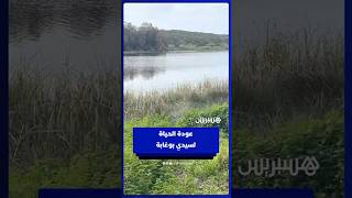 انتعاش بيئي في محمية سيدي بوغابة بعد الأمطار thumbnail