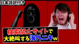 【ふぁんしーあいらんど】日本の最恐ホラーサイトで大絶叫する海外ニキｗｗ【日本語字幕】
