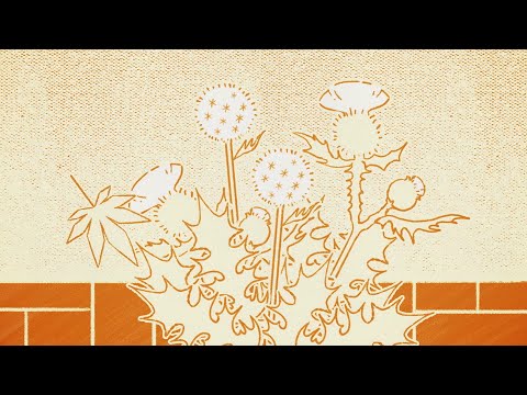 Video thumbnail for BRAVE