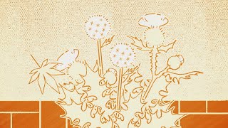 Cover art for Brave (Eng. ver)