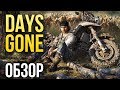 Видеообзор Days Gone от Игромания
