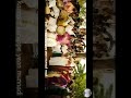 Nee Varuviya Varamattiya Love Folk Song Status Video