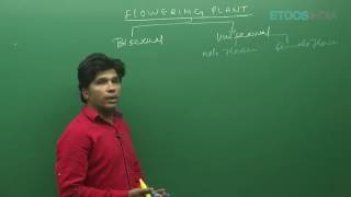 Sexual Reproduction I NEET Biology Video Lectures by Maq Sir | Etoosindia