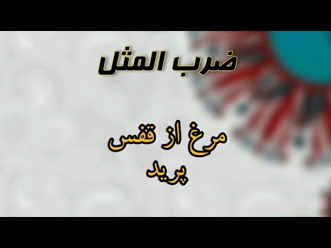 The chicken jumped out of the cage Proverb