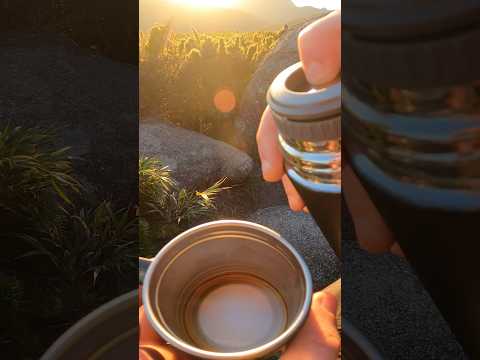 O café mais bonito do Paraná?
