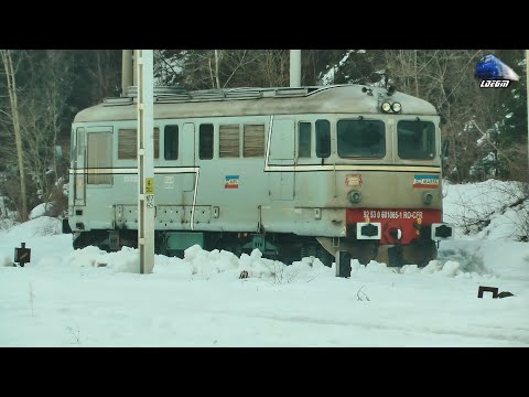 Trenuri & Amintiri Feroviare în Vatra Dornei - 20 Februarie 2019