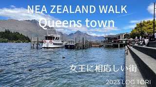 Nea Zealand walk 2022.12