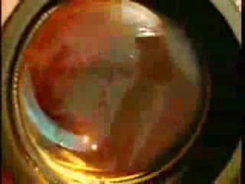 that girl is so dangerous...ft AKON