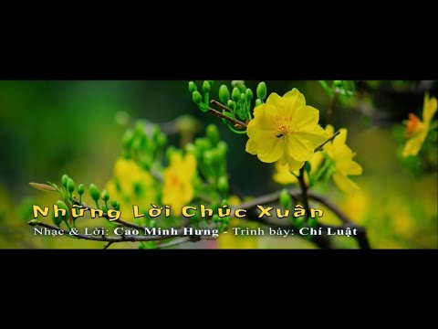 Những lời chúc xuân Sheet - Chí Luật