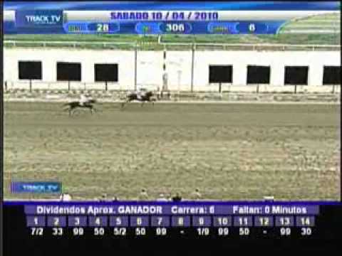 Resumen sábado 10 de abril 2010 - La Rinconada