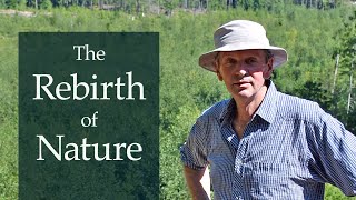 The Rebirth of Nature
