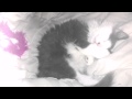 Sleep my little Prince 