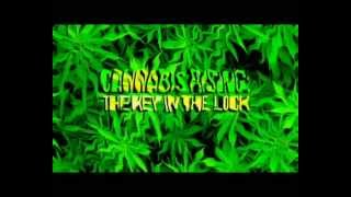 Cannabis Rising: The Key In The Lock. Your Health Your Future