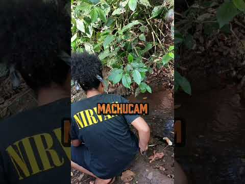 Poema da Jovem: Tayla Lavigne do acampamento Leonir Orback em Santa Helena de Goiás #resistir ✊️