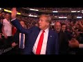 Donald Trump receives thunderous applause at UFC event