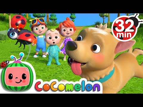 Where Has My Little Dog Gone? + More Nursery Rhymes & Kids Songs - CoComelon