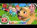 Where Has My Little Dog Gone? + More Nursery Rhymes & Kids Songs - CoComelon Where Has My Little Dog Gone? + More Nursery Rhymes & Kids Songs - CoComelon