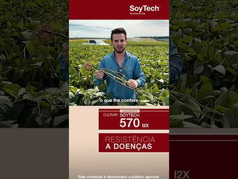 SoyTech® Direto do Campo | ST 570 I2X: Estabilidade e alto potencial produtivo em Condor - RS