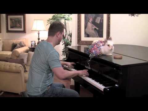 Nyan Cat on Piano - The Nyan Bunny