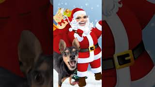 DINGO BELL - O HIT DE NATAL DO ZORRO! parte 2