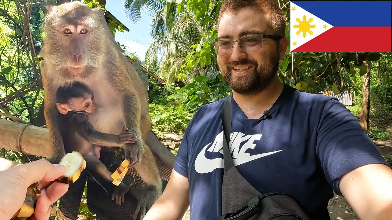 Join an adventurer on a visit to Oslob Macaque Sanctuary.