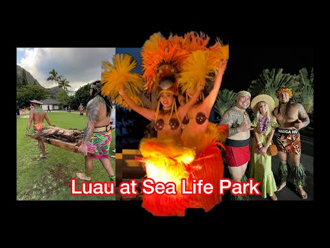 Komm mit mir zum Luau nach Hawaii!